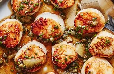 Scallops